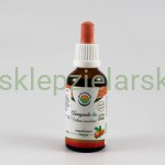 Ashwagandha- krople (bez alkoholu) 50ml Salvia Paradise  