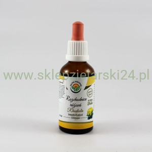 Różeniec Górski - krople (bez alkoholu) 50ml Salvia Paradise