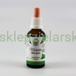 Melisa lekarska - krople (bez alkoholu) 50ml Salvia Paradise 