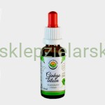 Ginkgo Biloba- krople (bez alkoholu) 50ml Salvia Paradise
