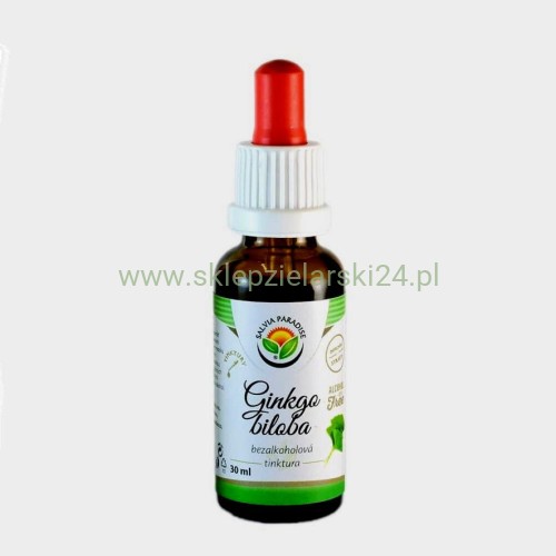 ginkgo biloba.jpg