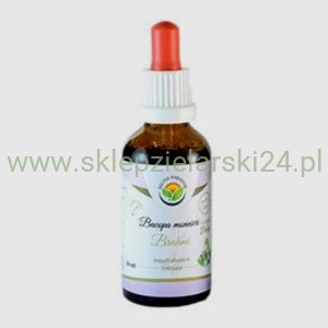 Bacopa Monnieri - krople  (bez alkoholu) 50ml Salvia Paradise