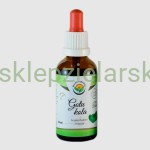 Gotu Kola - krople  (bez alkoholu) 50ml Salvia Paradise