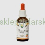 Boswellia Serrata - krople  (bez alkoholu) 50ml  Salvia Paradise