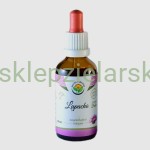 Lapacho - krople  (bez alkoholu) 50ml Salvia Paradise