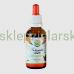 Schizandra - krople (bez alkoholu) 50ml Salvia Paradise