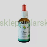 Chanca Piedra - krople (bez alkoholu) 50ml Salvia Paradise 