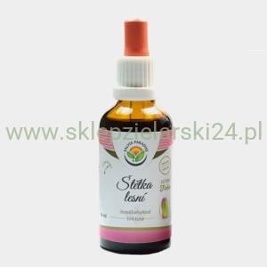 Szczeć- krople (bez alkoholu) 50ml Salvia Paradise  
